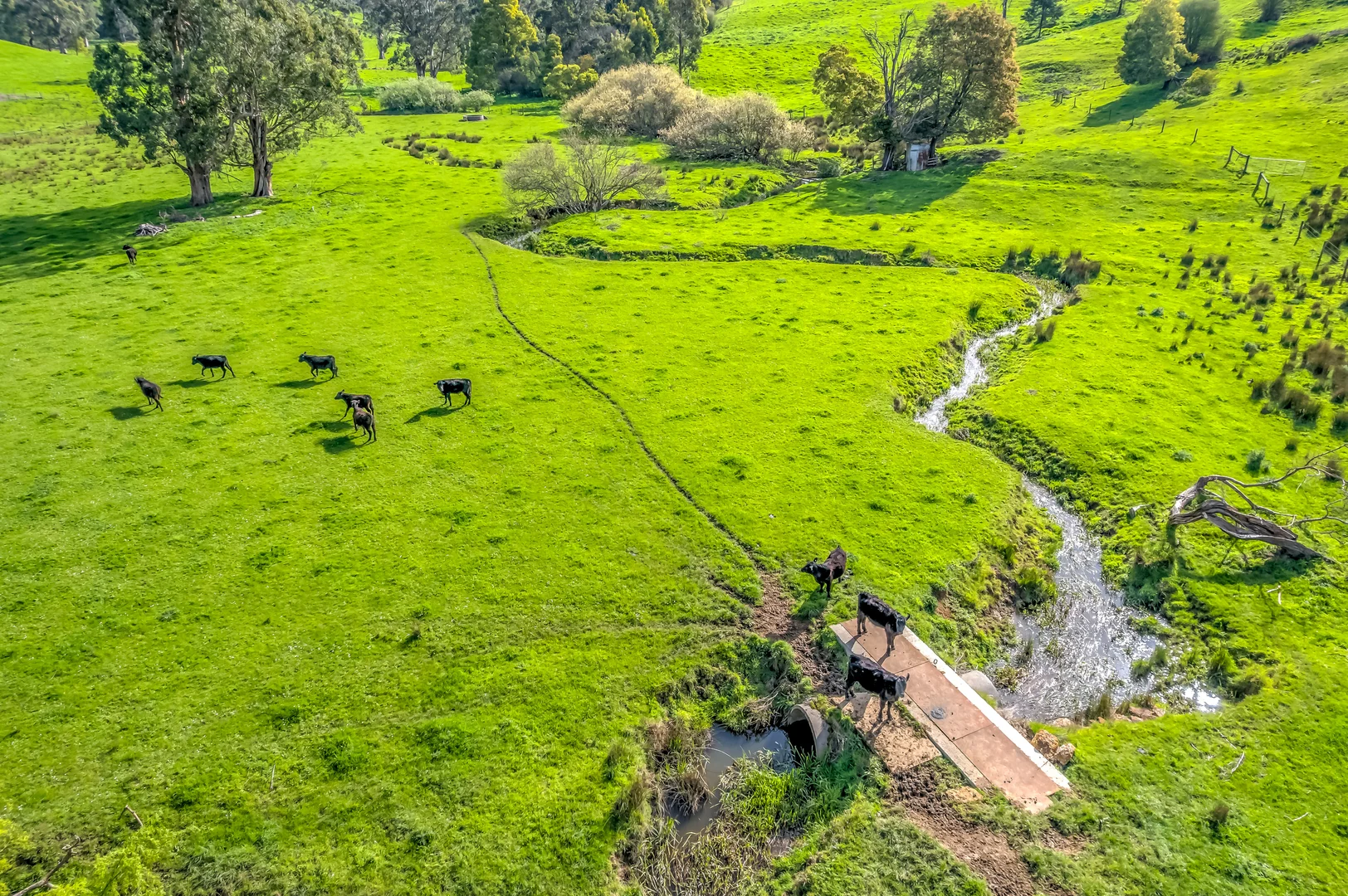 Additional image 4 of 2 Fowlers Road, Ellinbank VIC 3821