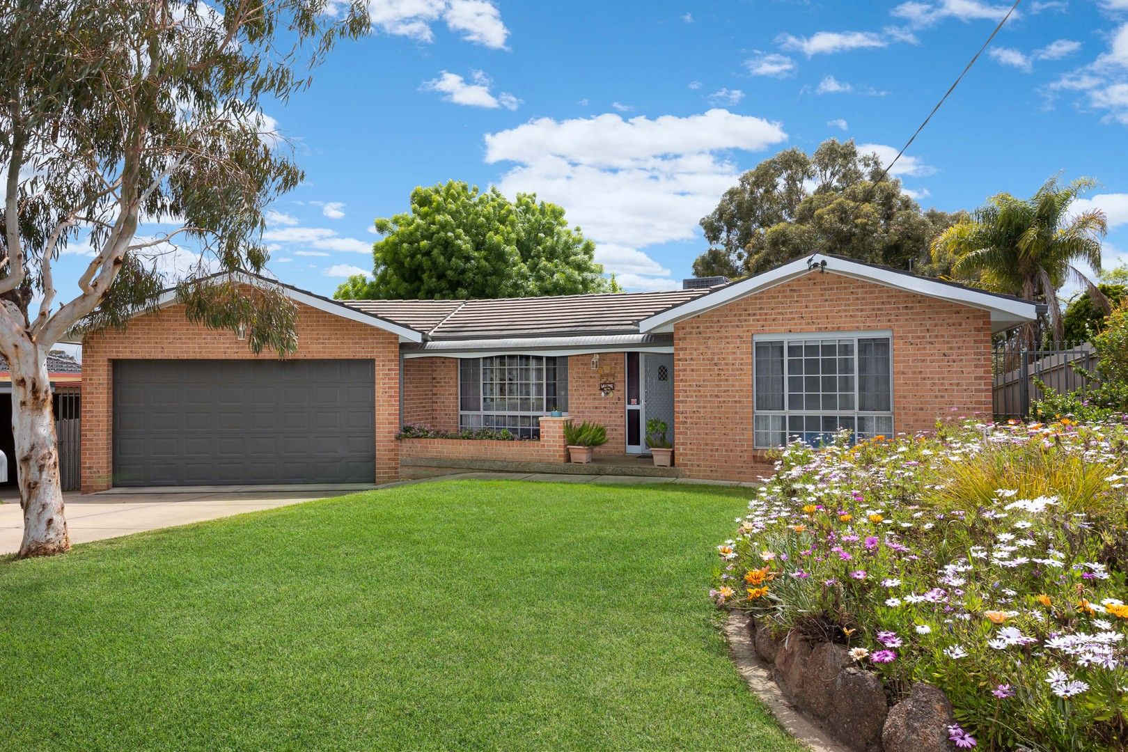 46 Mallory Street, Ashmont NSW 2650, Image 0