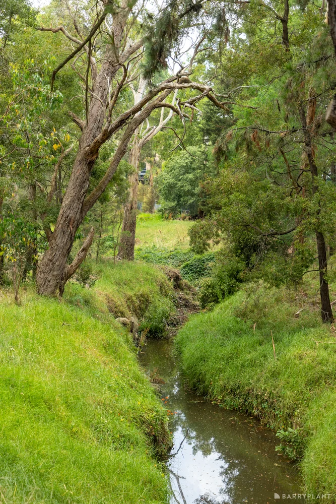 Additional image 14 of 7 Rollington Drive, Ringwood VIC 3134