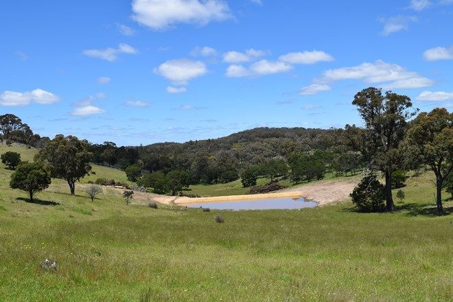 Picture of 20, 616 Marian Vale Road, BOXERS CREEK NSW 2580