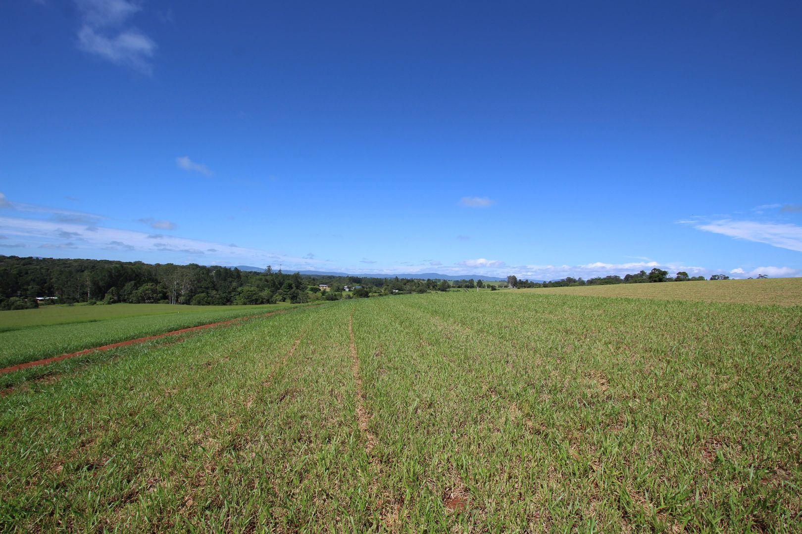 Lot 78 Lynne Road, Peeramon QLD 4885, Image 1