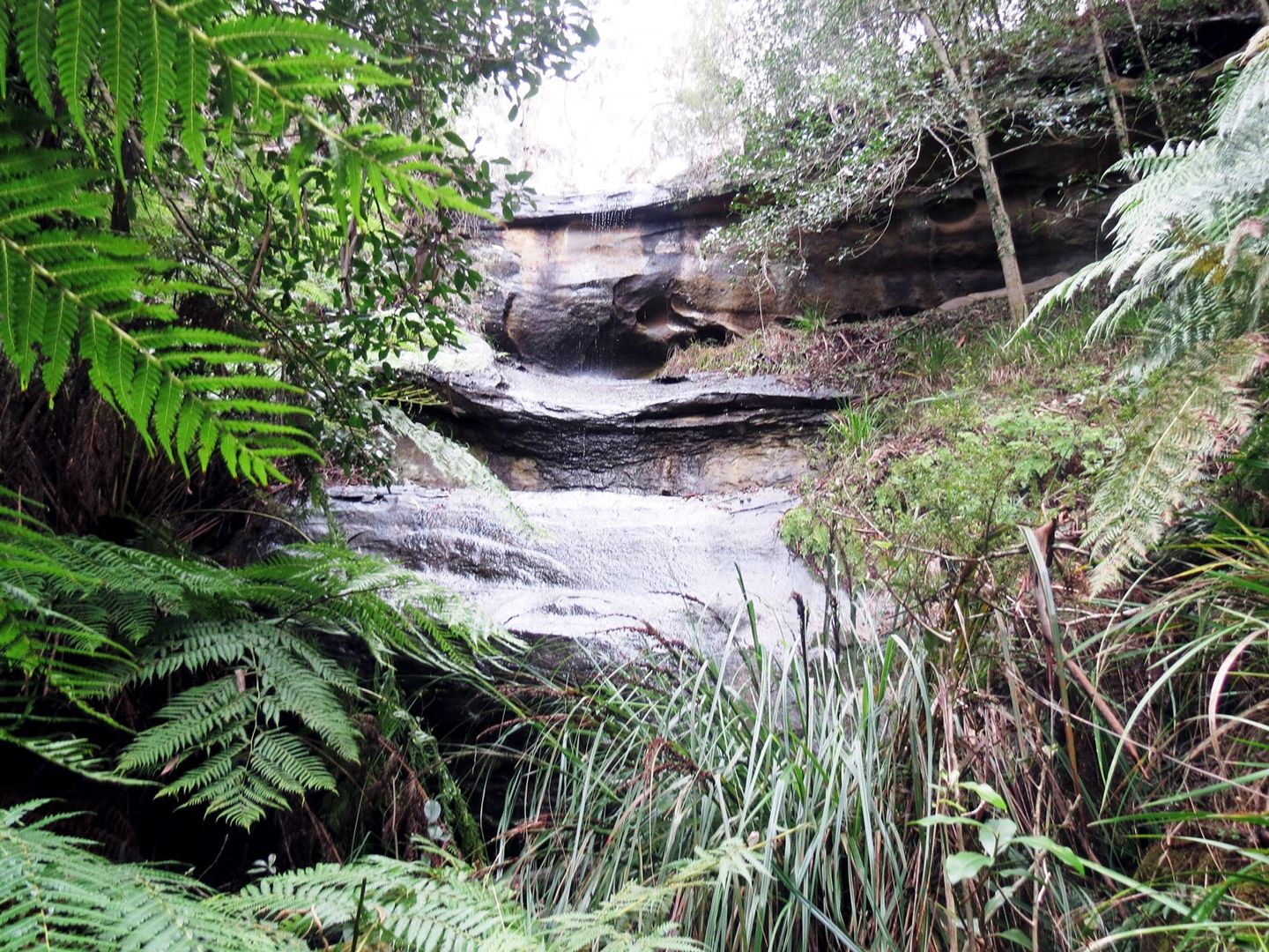 111 Blackheath Creek Road, Kanimbla NSW 2790, Image 1