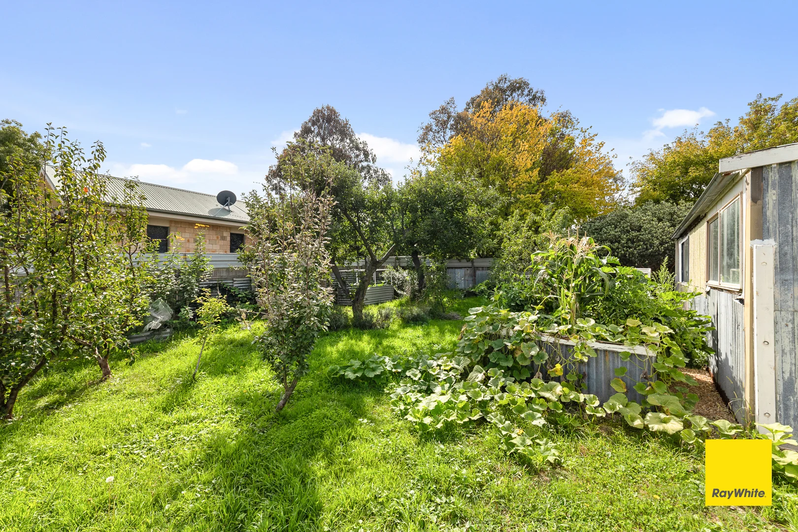 Image 20