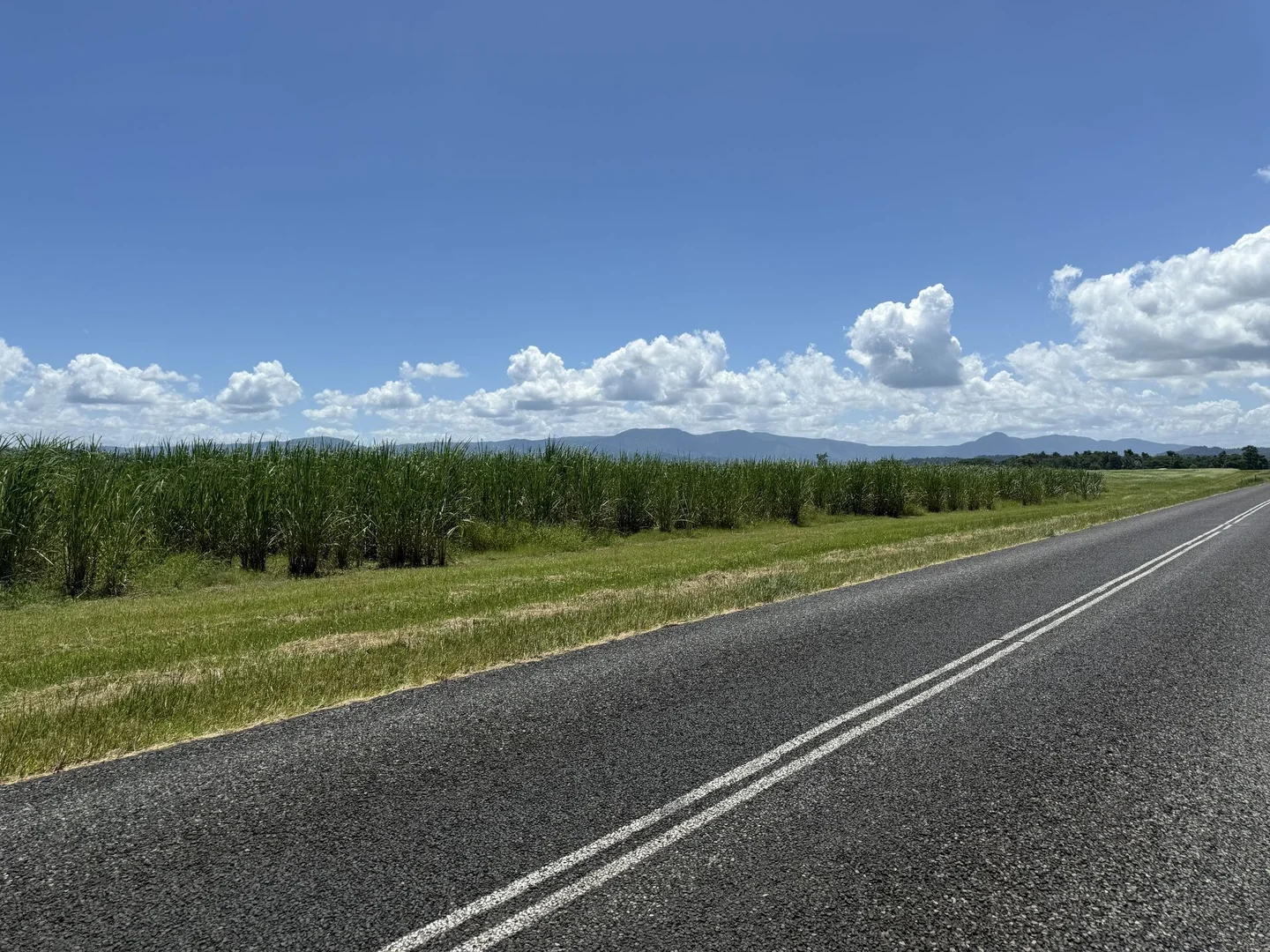 Image 13