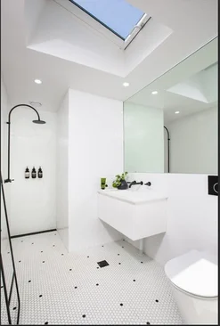 Additional image 10 of 42 Rosser Street, Rozelle NSW 2039