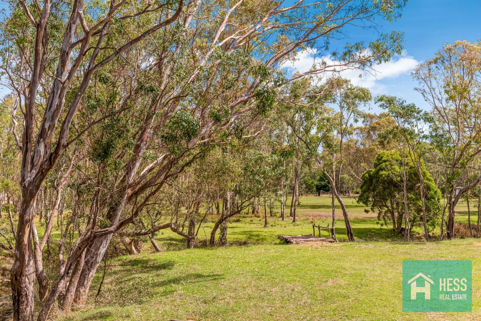 960 Seymour-Pyalong Road, Sunday Creek VIC 3658, Image 2