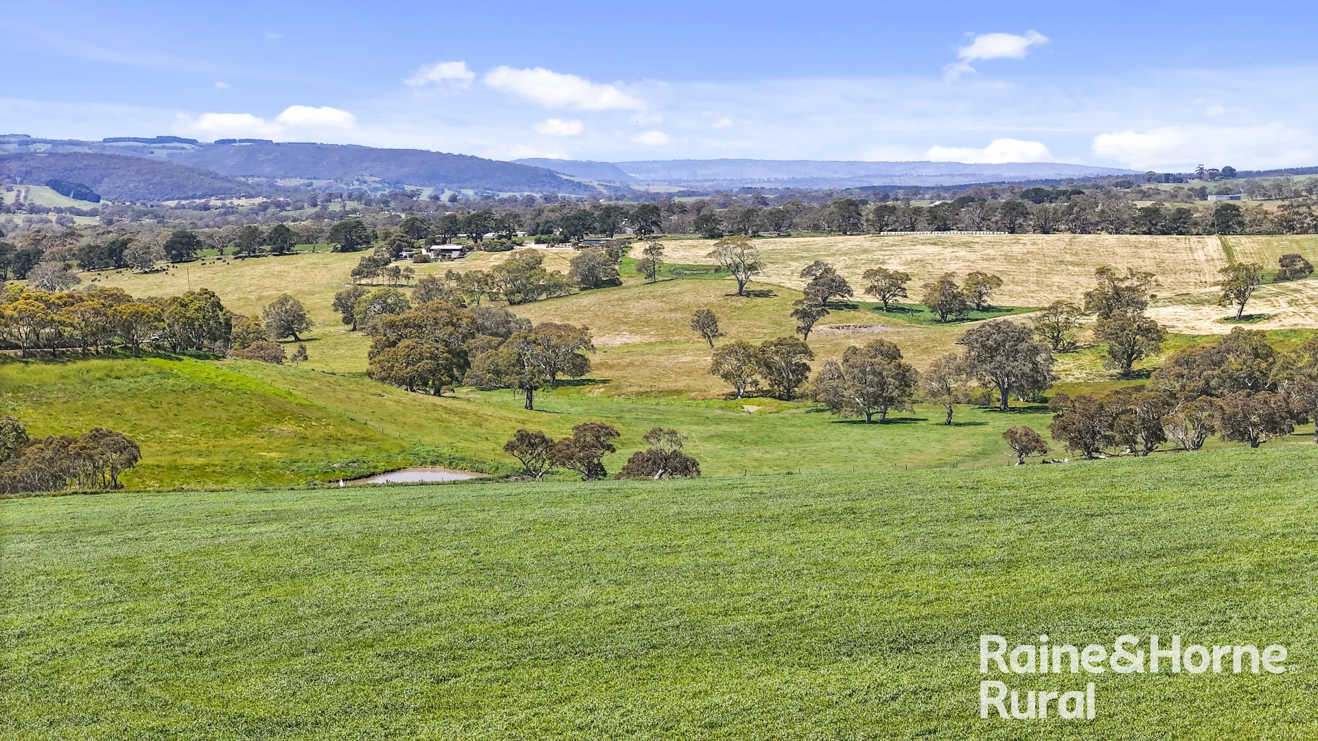 Additional image 14 of 25 Nosworthy Road, Inman Valley SA 5211