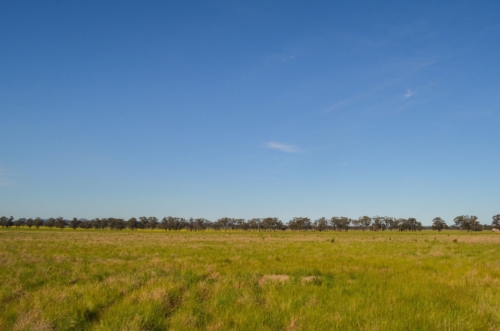 324 Thanowring School Road, Temora NSW 2666, Image 0