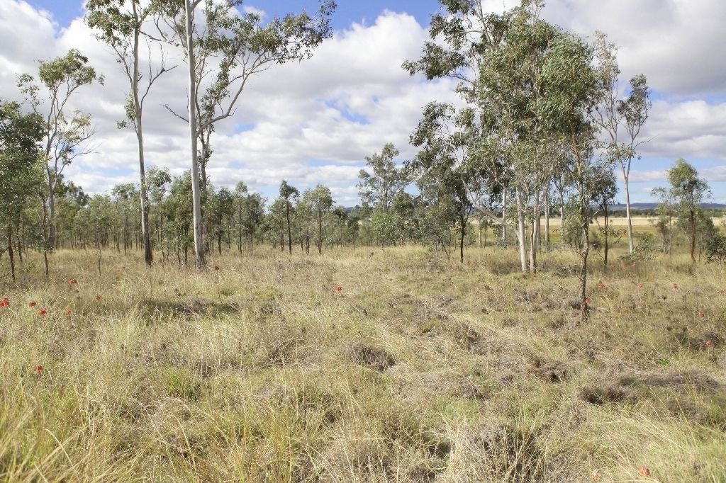 Lot 36 Forbe Road, Forest Hill QLD 4342, Image 2