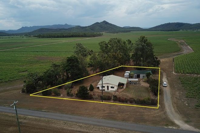 Picture of 74 Scotts Road, LANNERCOST QLD 4850