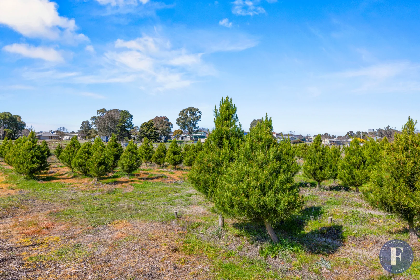 Additional image 6 of Lot 13/81 Campbell Street, Boorowa NSW 2586