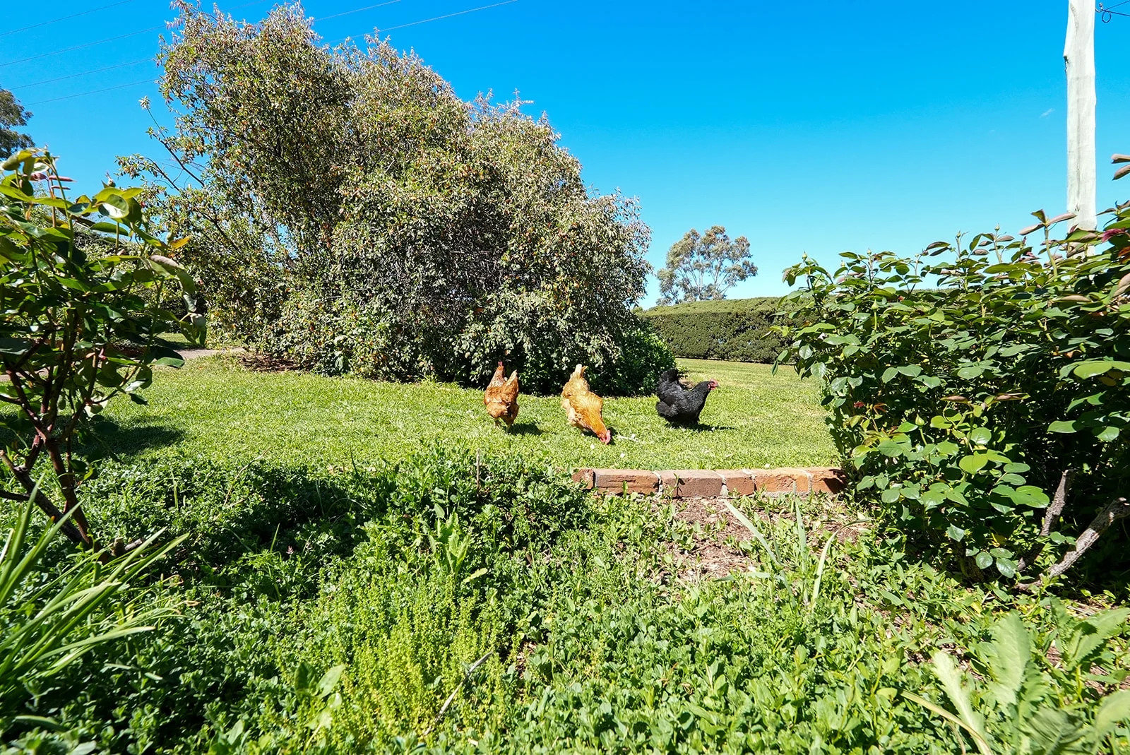 Image 28