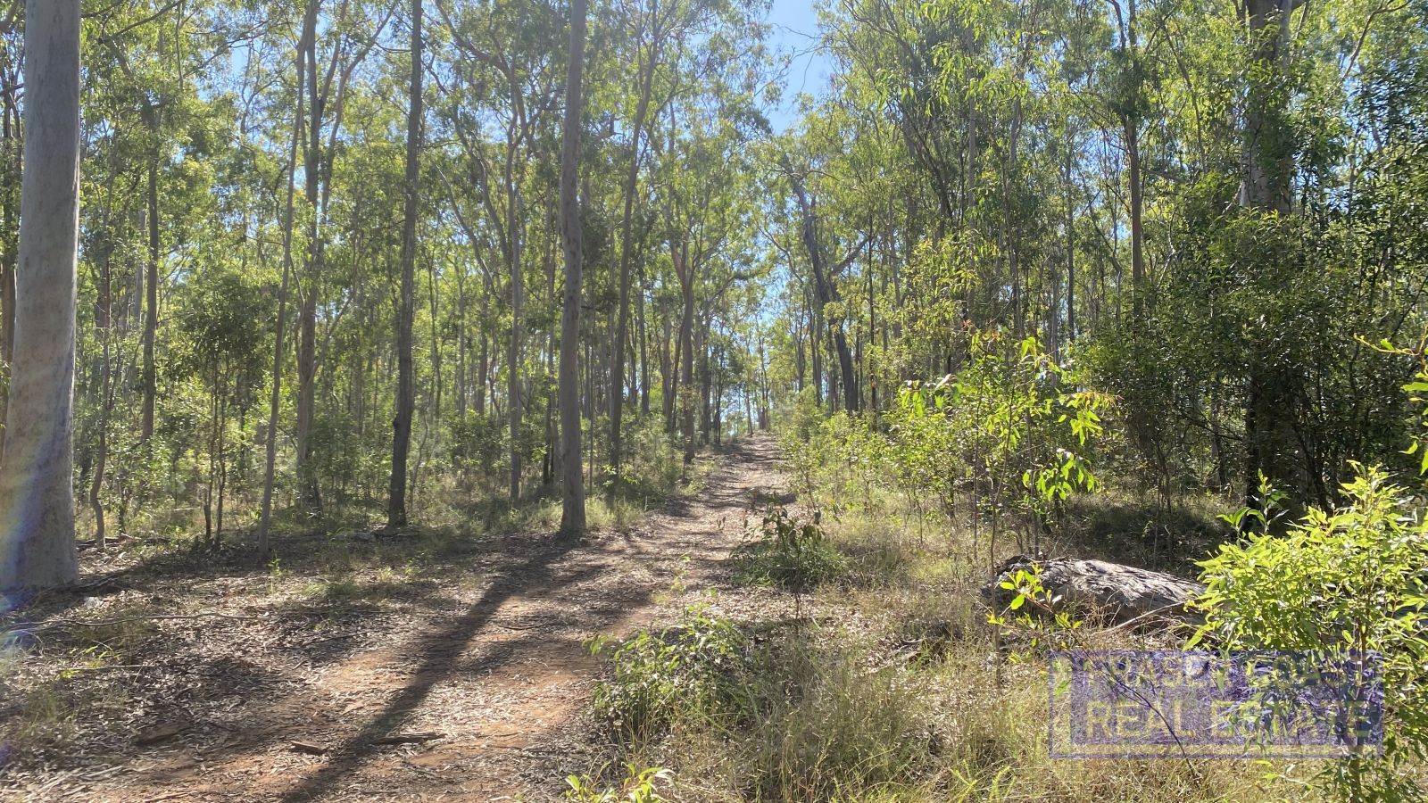 Lot 3, 255 Nugent Road, Netherby QLD 4650, Image 2