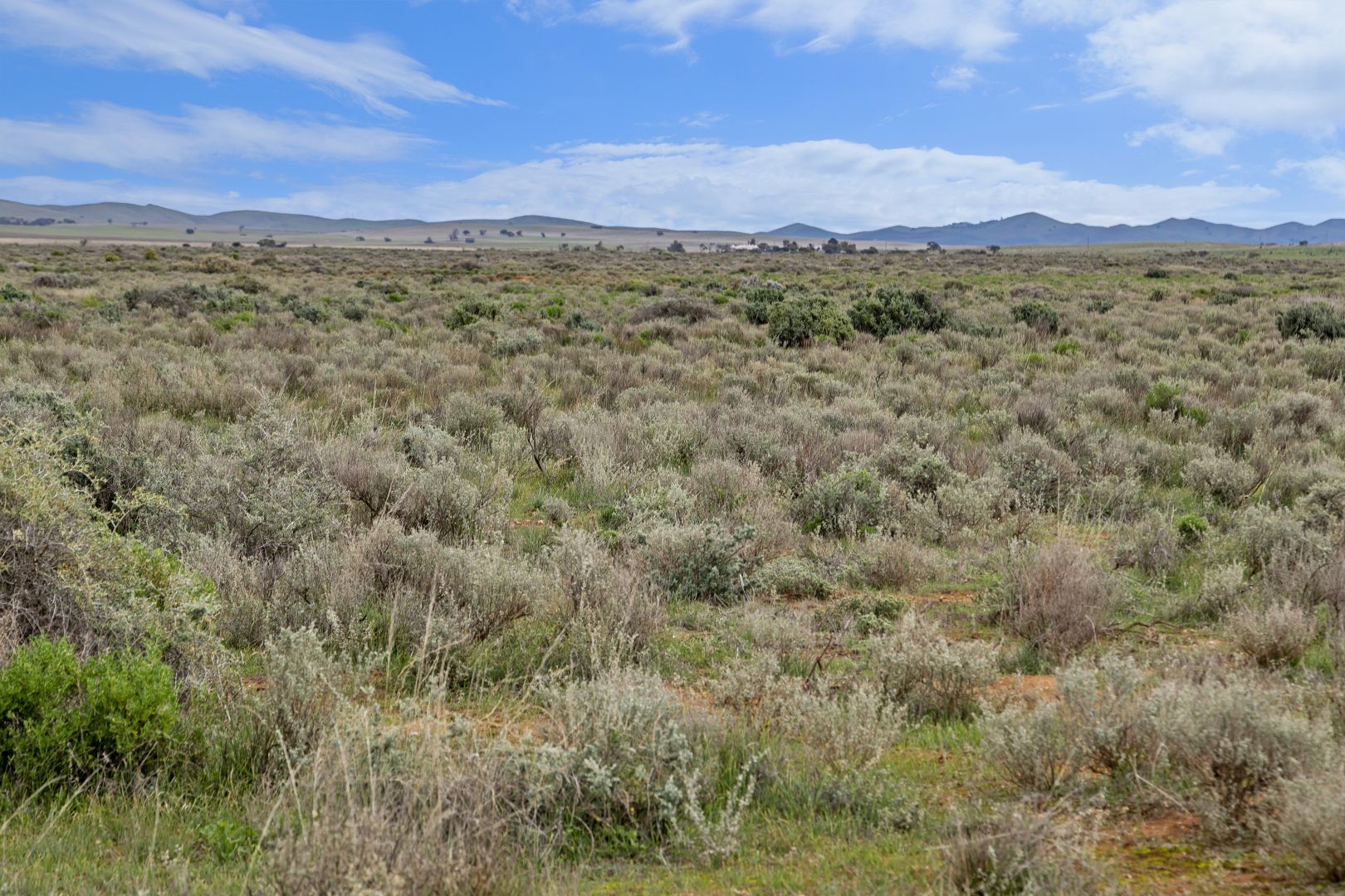 'Carinya' Goyder Highway, Burra SA 5417, Image 2