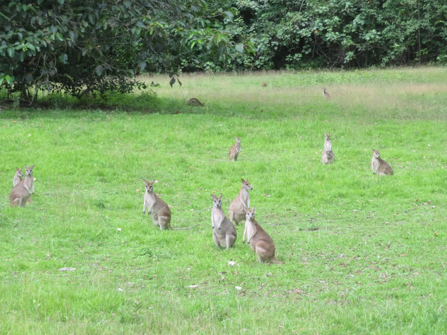 Image 17
