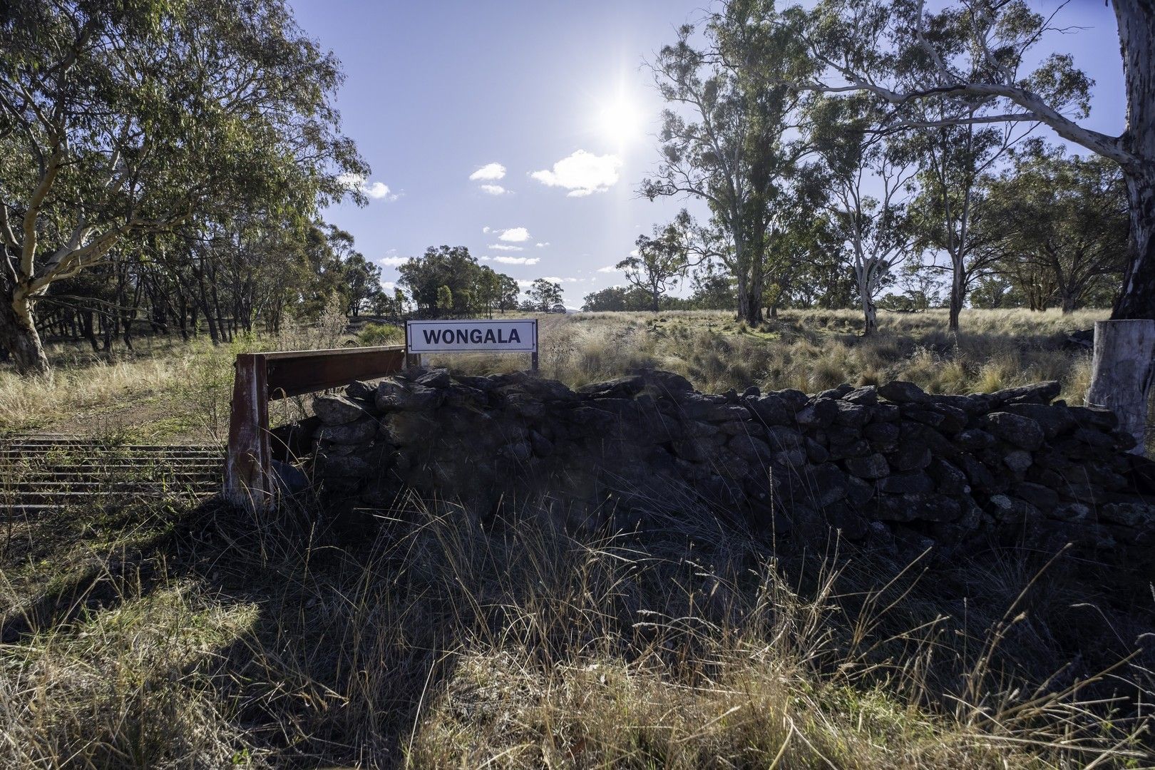 'Wongala' 2698 Mount Lindesay Road, Barraba NSW 2347, Image 0