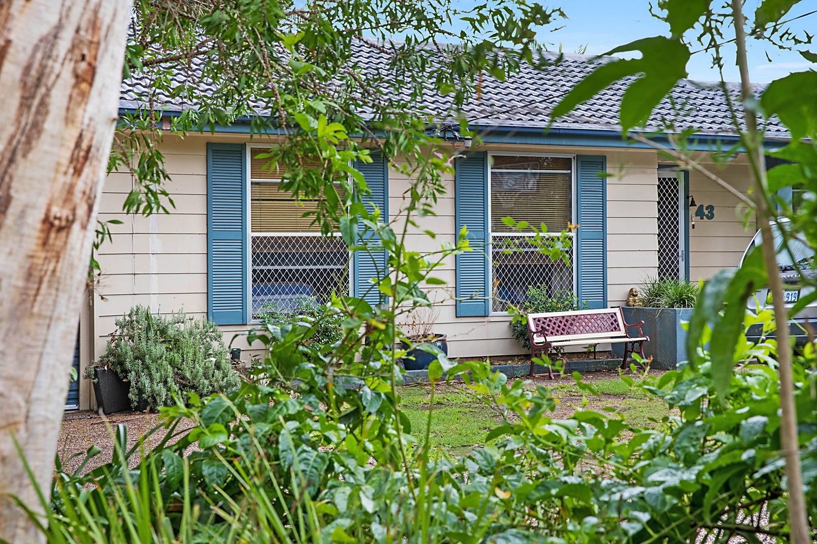 43 King Street, Hillsborough NSW 2290, Image 0