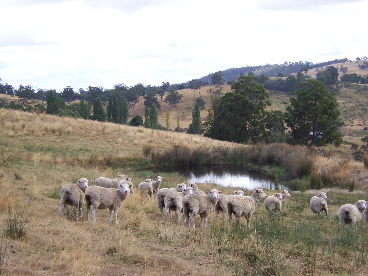 . Gully Road, Fentonbury TAS 7140, Image 1