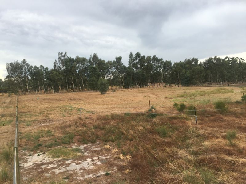 Lot 116 Bolliong Grove, North Dandalup WA 6207, Image 1