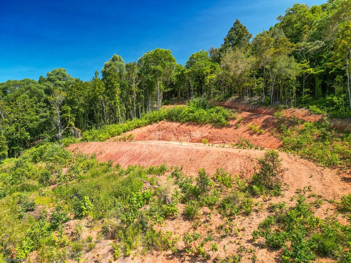 Lot 11 Whitehead Road, Lower Cowley QLD 4871, Image 2