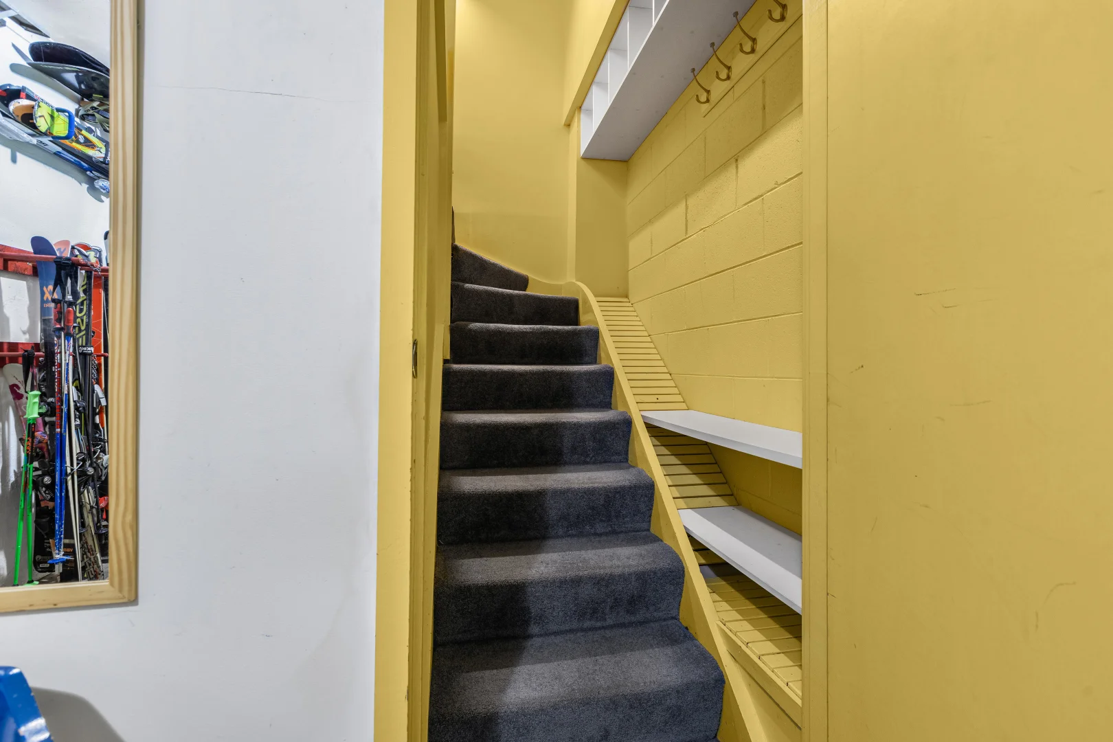 Image 19