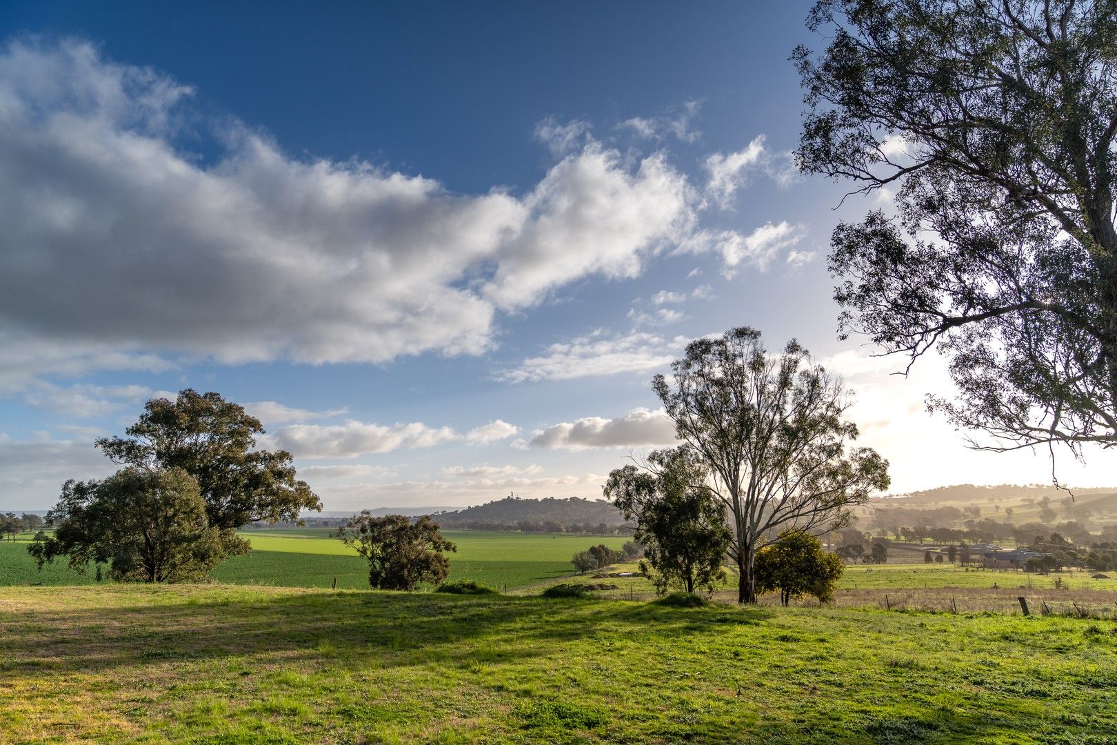 327 Camp Road, Cowra NSW 2794, Image 1