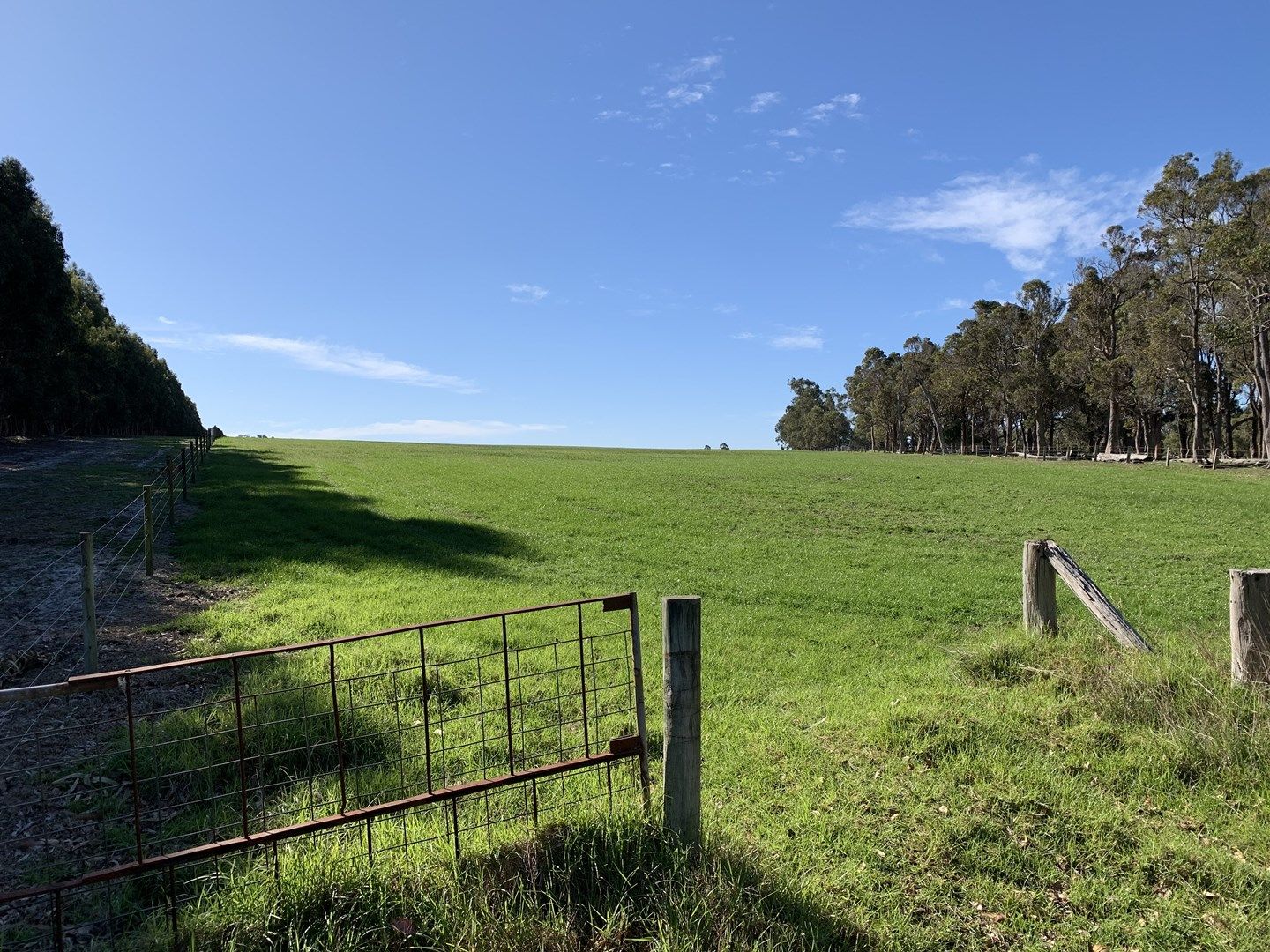 Lot 4075 Mann Road, Nillup WA 6288, Image 0