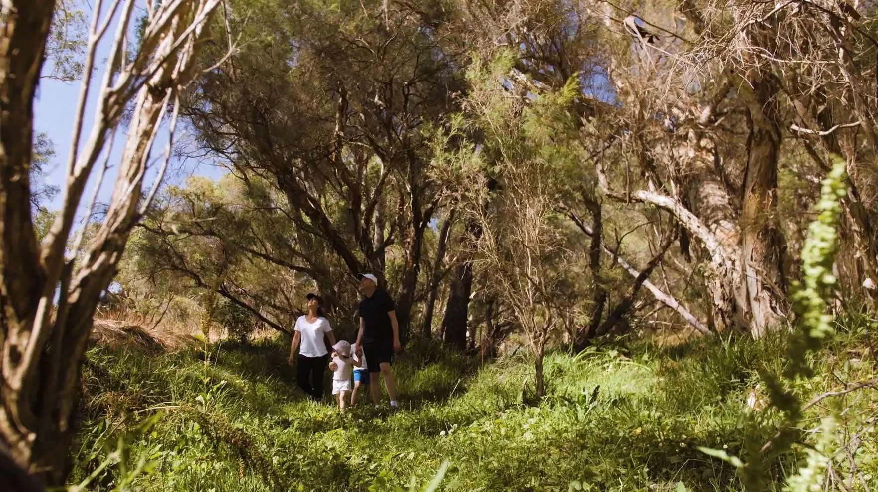 Additional image 15 of Lot 791 Youngberry Road, Upper Swan WA 6069