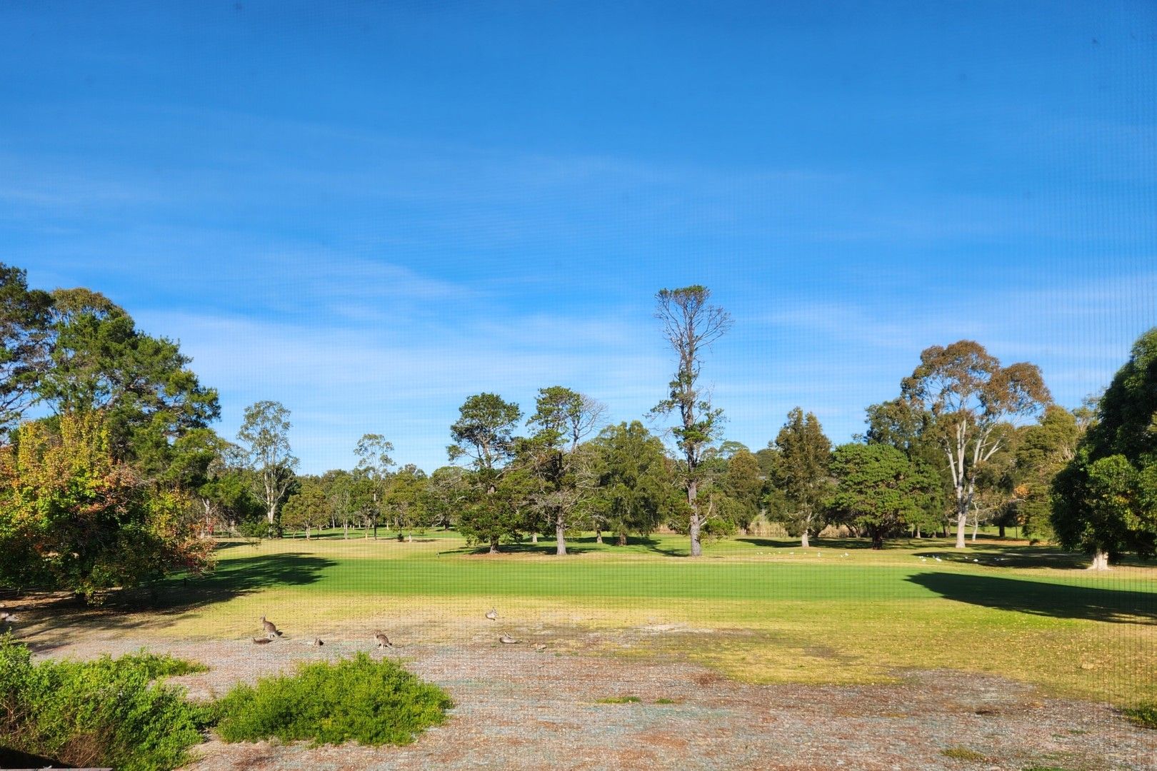 1/12 Golf Links Drive, Batemans Bay NSW 2536, Image 0