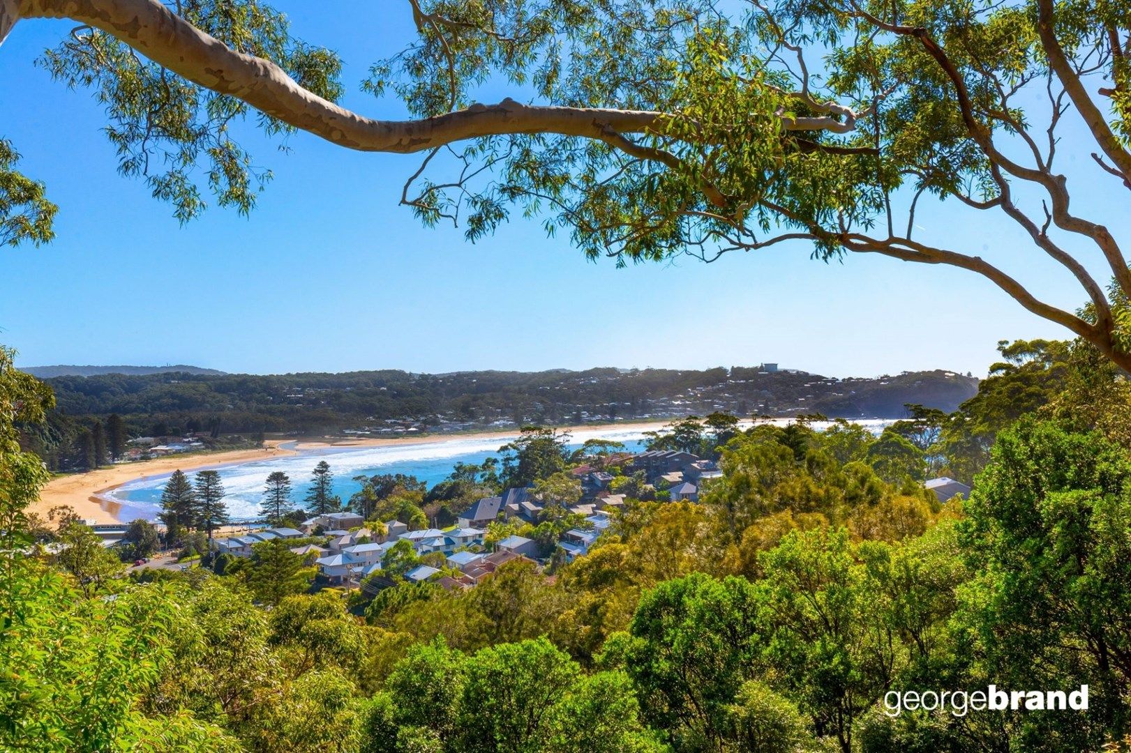 59 Arden Avenue, Avoca Beach NSW 2251