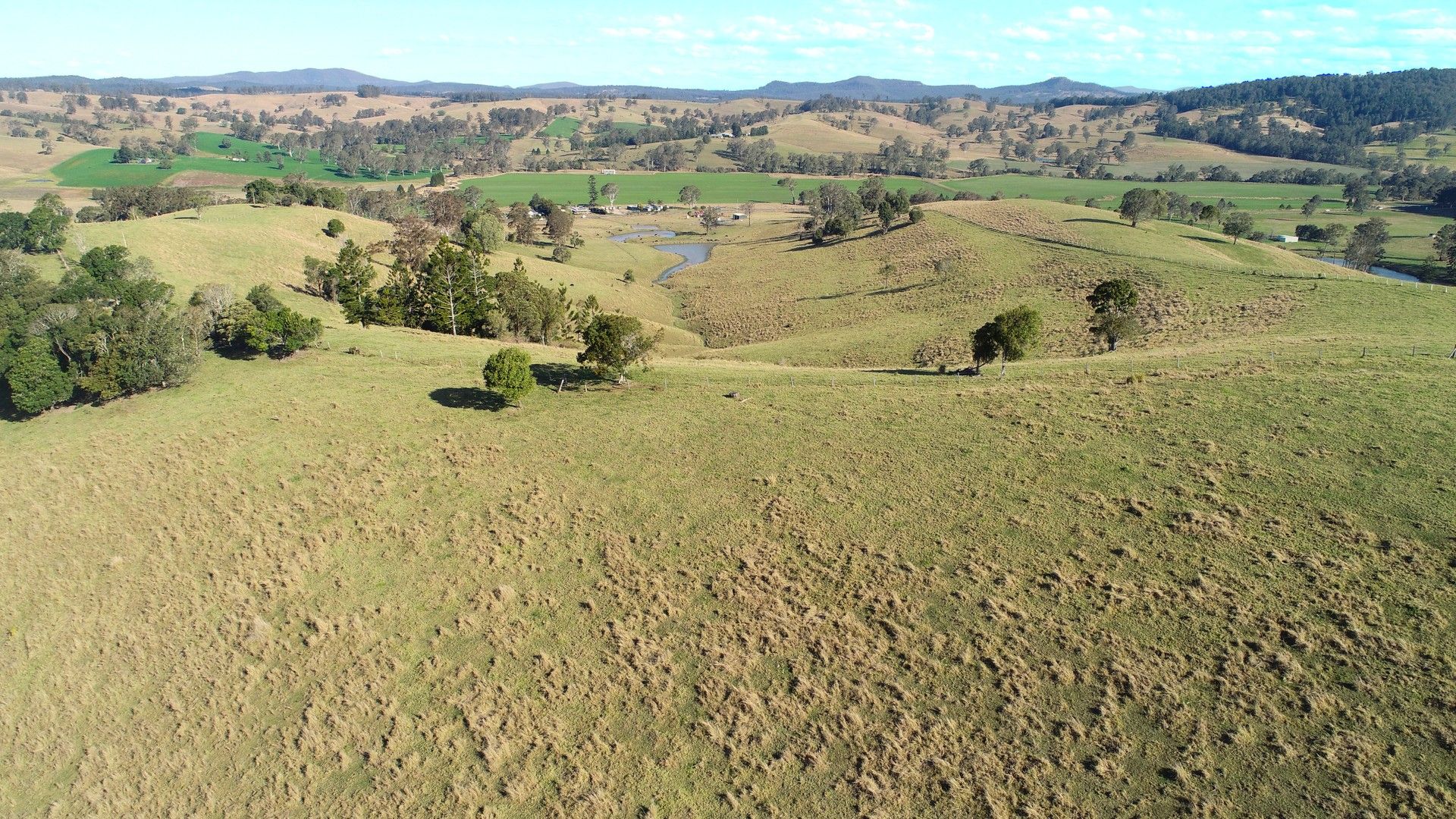 Rural in 7106 Bruxner Highway, MALLANGANEE NSW, 2469