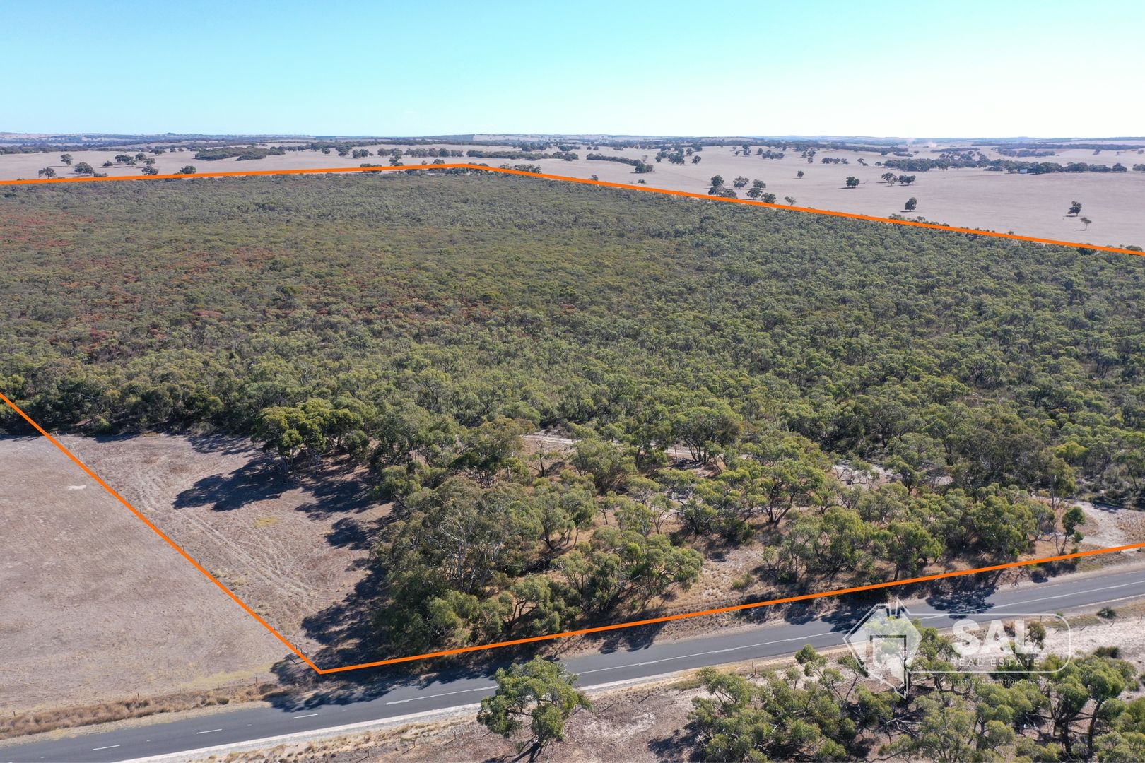 1580 Padthaway Road, Mundulla West SA 5270 House for Sale Domain