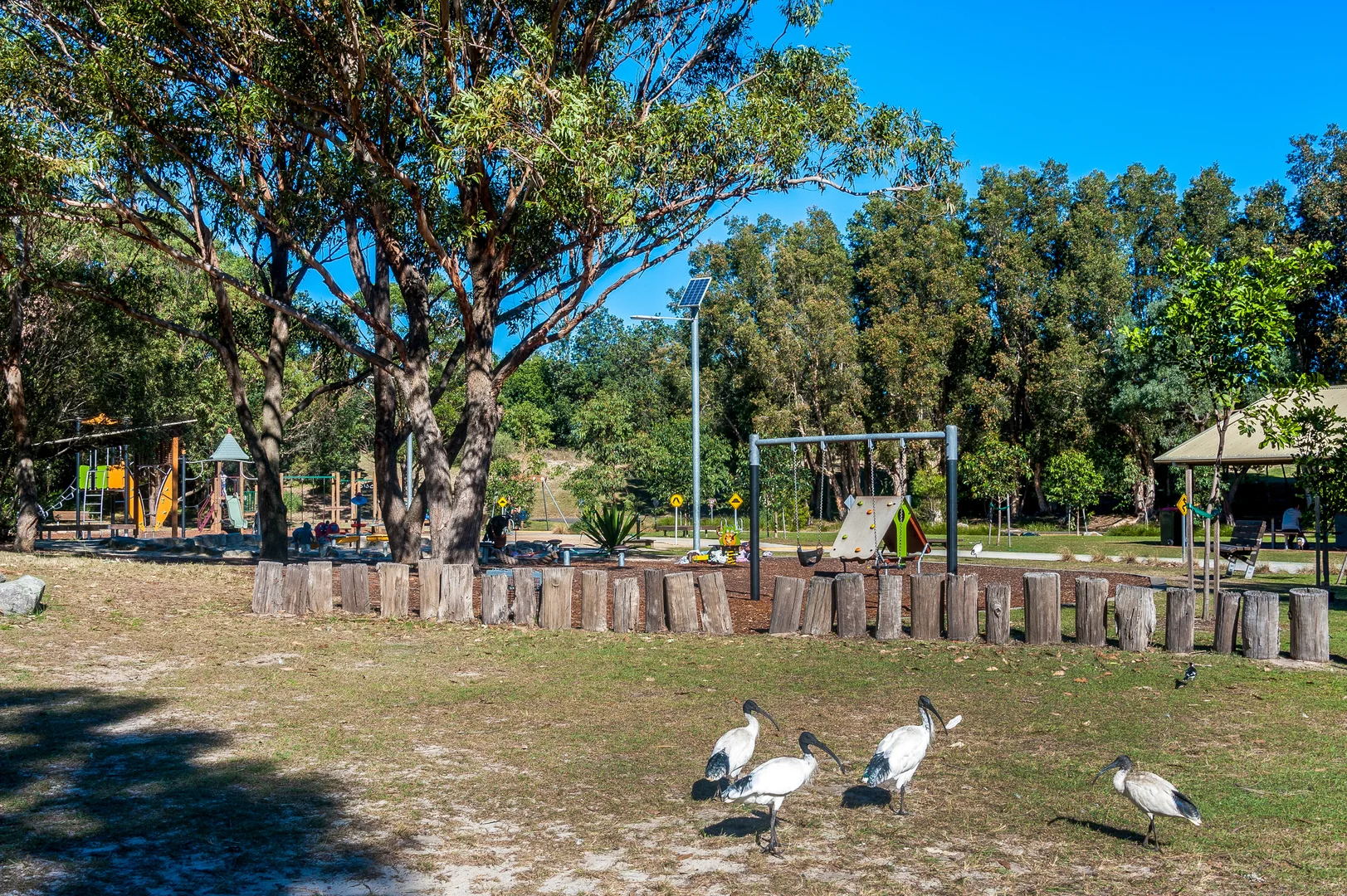 Additional image 9 of 3206/50 Pemberton Street, Botany NSW 2019