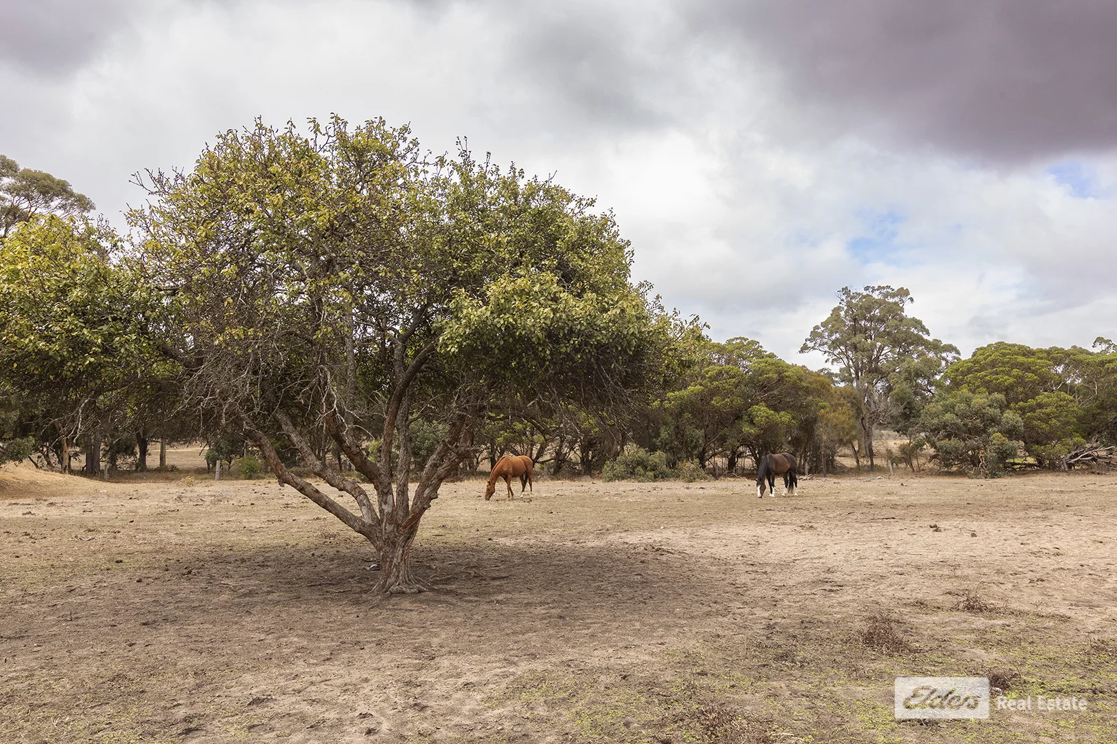 Additional image 4 of Lot 36 Allenby Road, Kendenup WA 6323