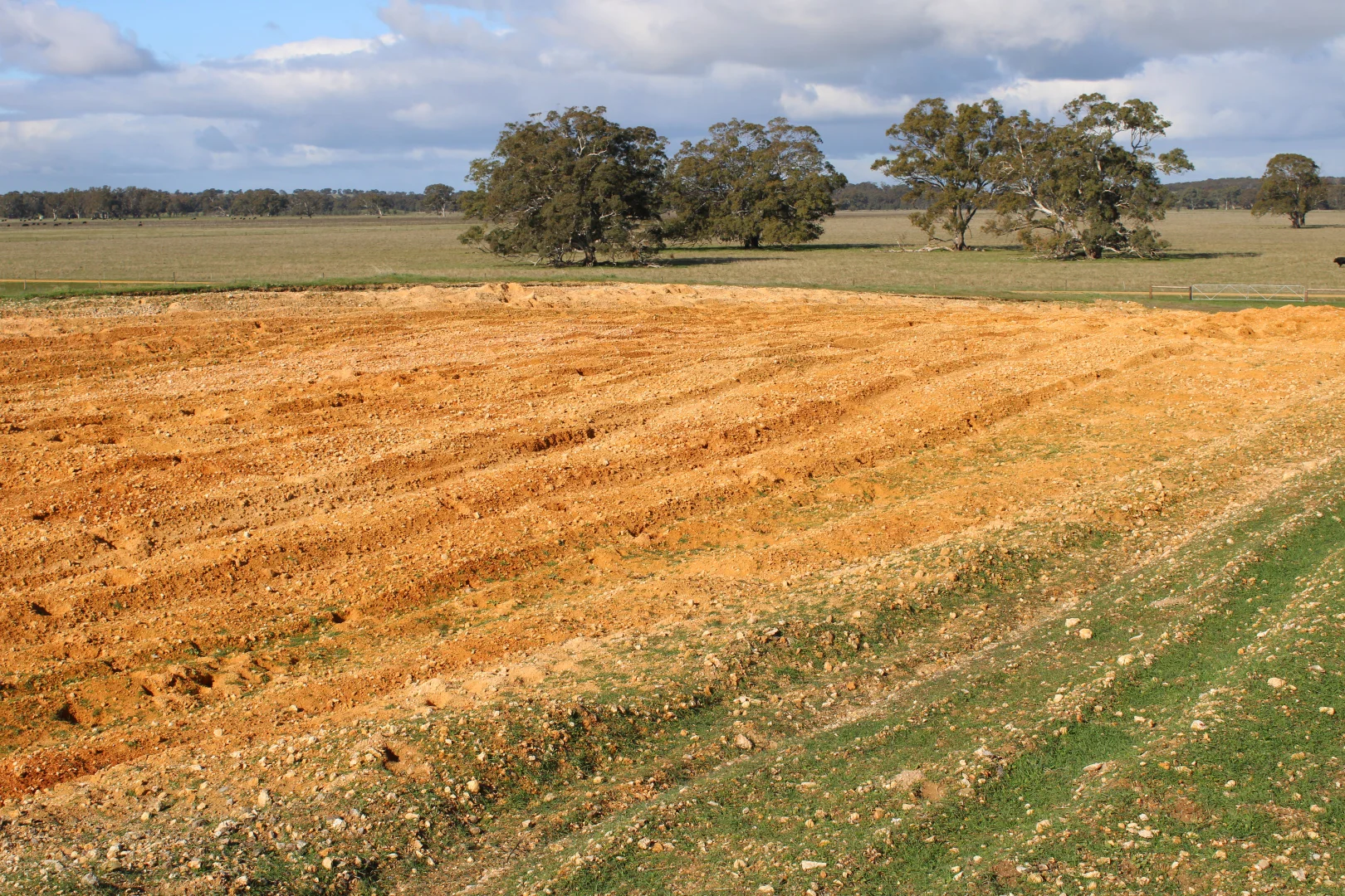 Image 29