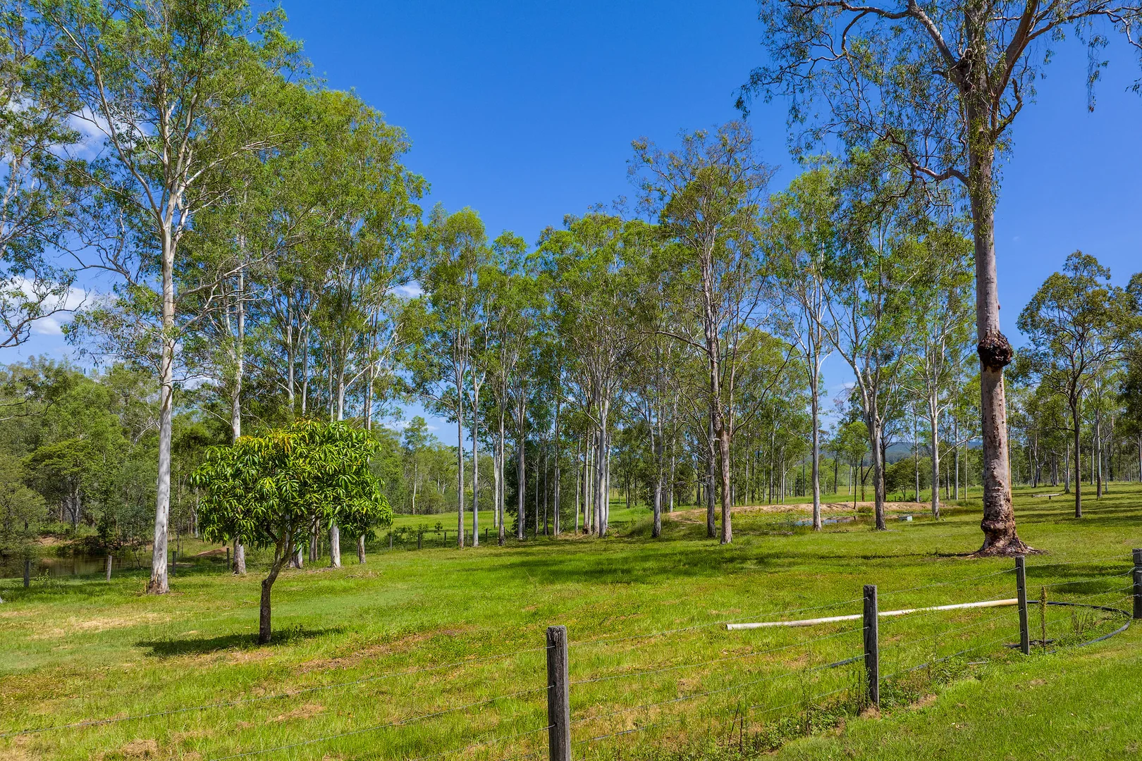 Additional image 19 of 100 Cullinane Road, Sexton QLD 4570
