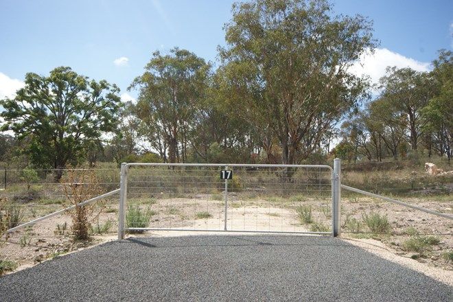 Picture of Lot 17 Satinvale Estate, INVERGOWRIE NSW 2350