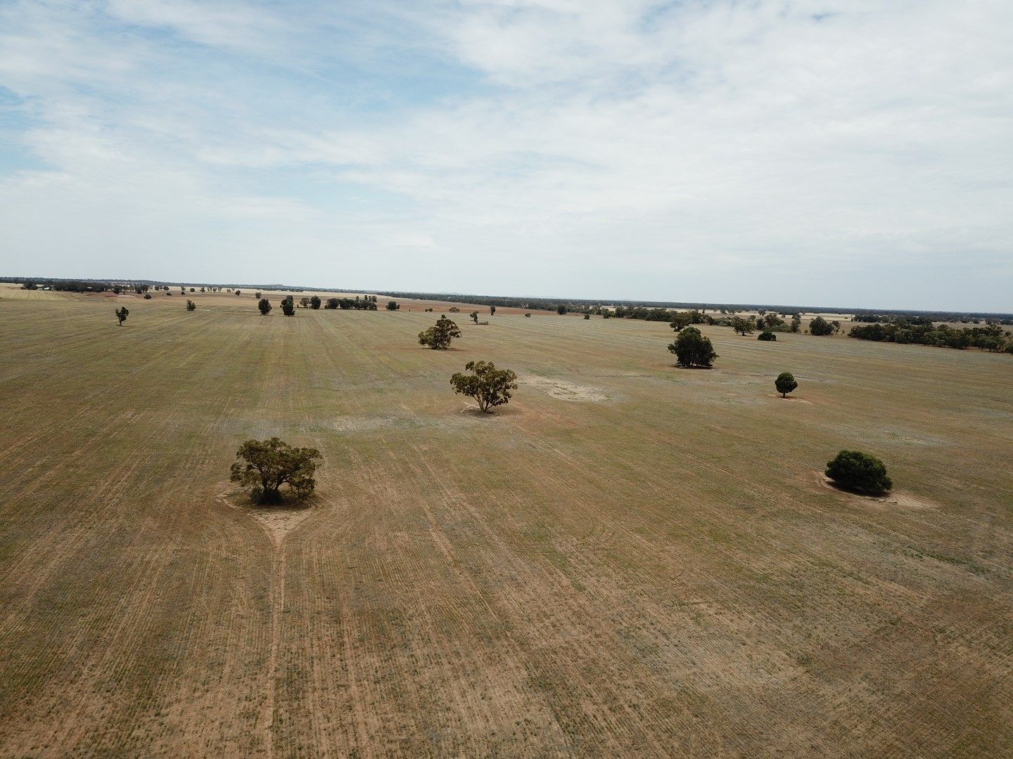 'Ossory' Aggregation, Narromine NSW 2821, Image 0