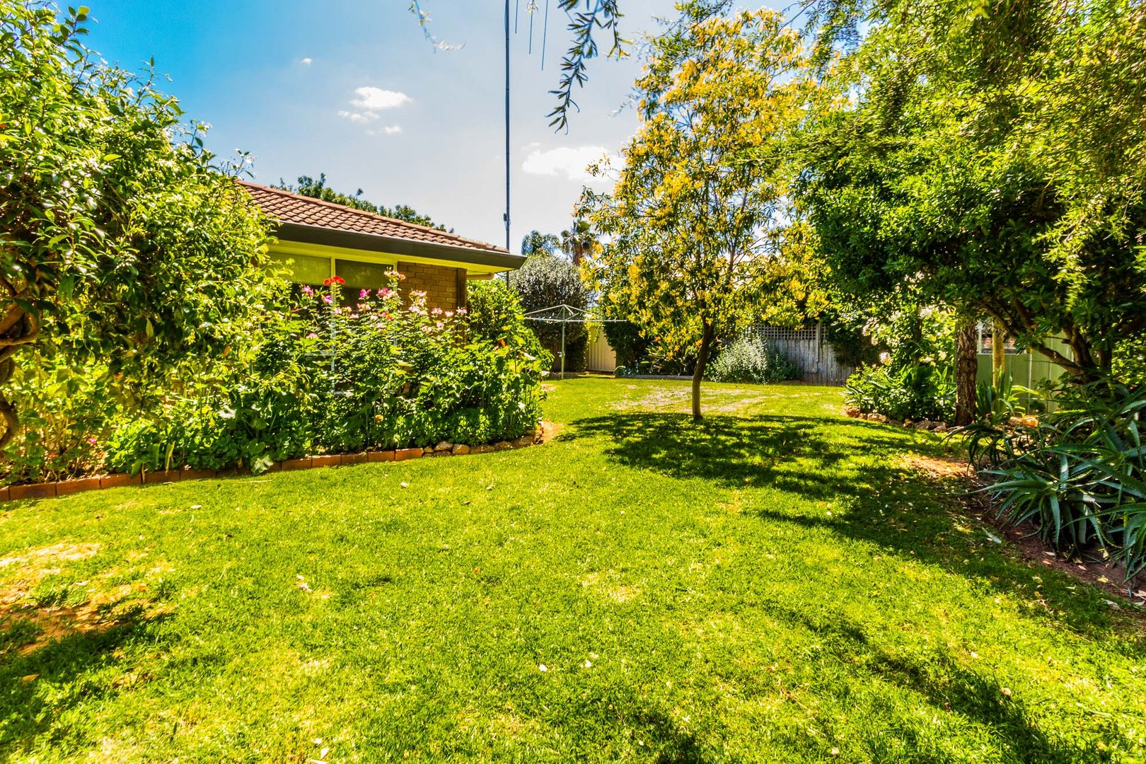 24 Hillview Avenue, Moama NSW 2731 House For Rent Domain