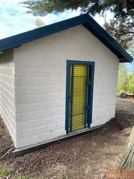 Image 6