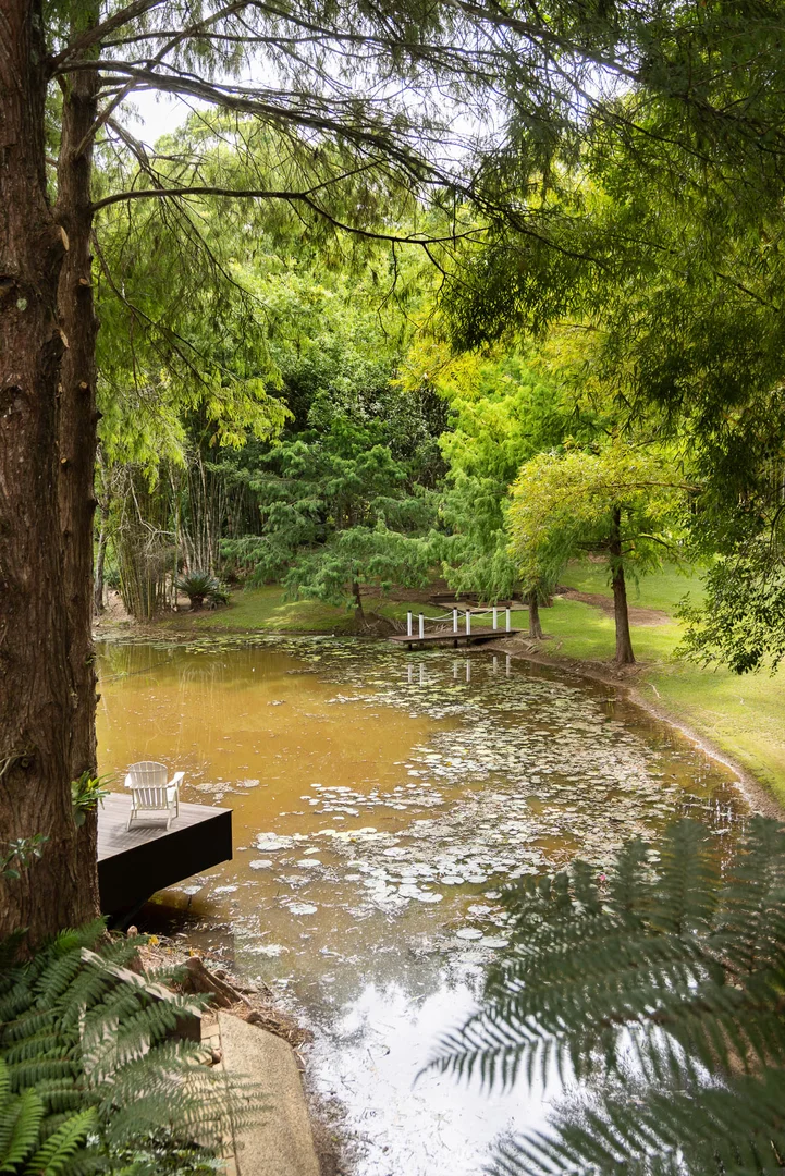 Image 31