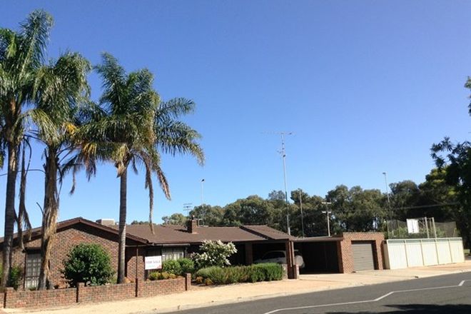 Picture of 176 Thurk Street, RENMARK SA 5341