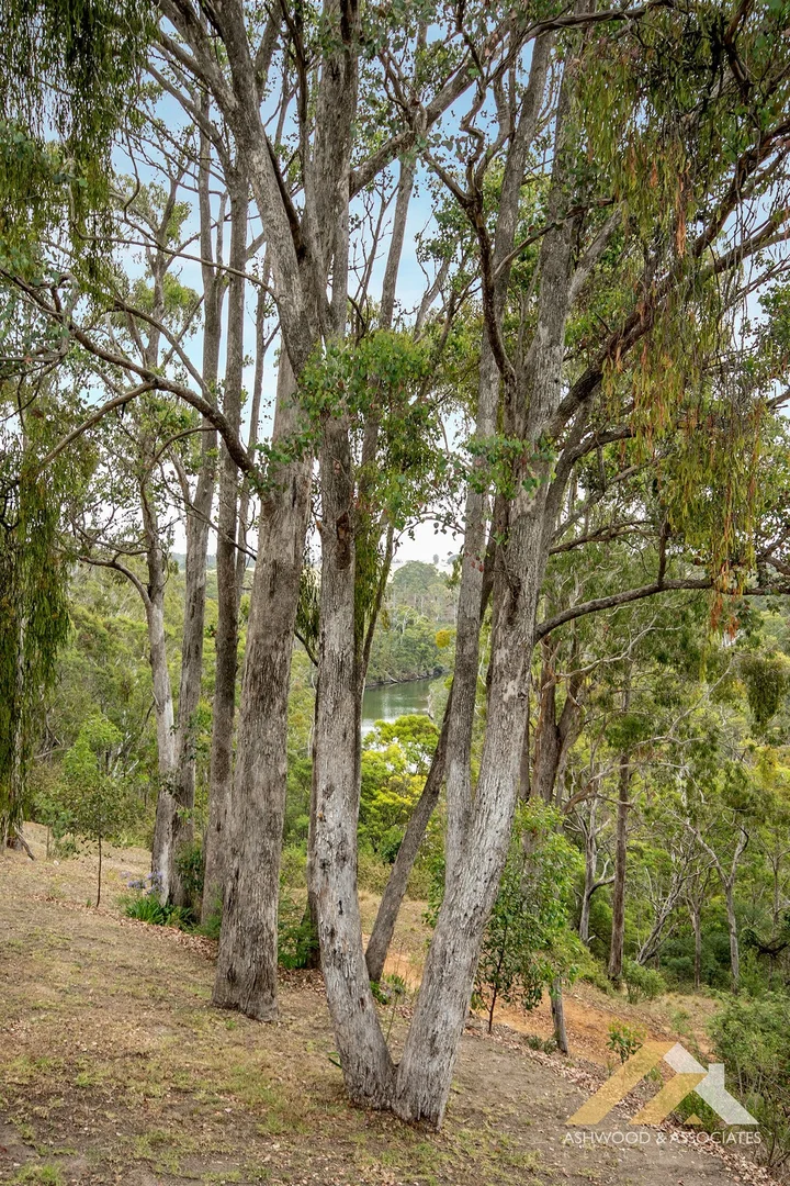 Image 35