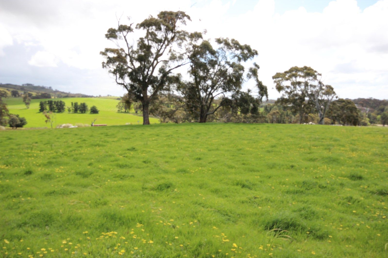 Blyth and Hicks Road, Armagh SA 5453, Image 0