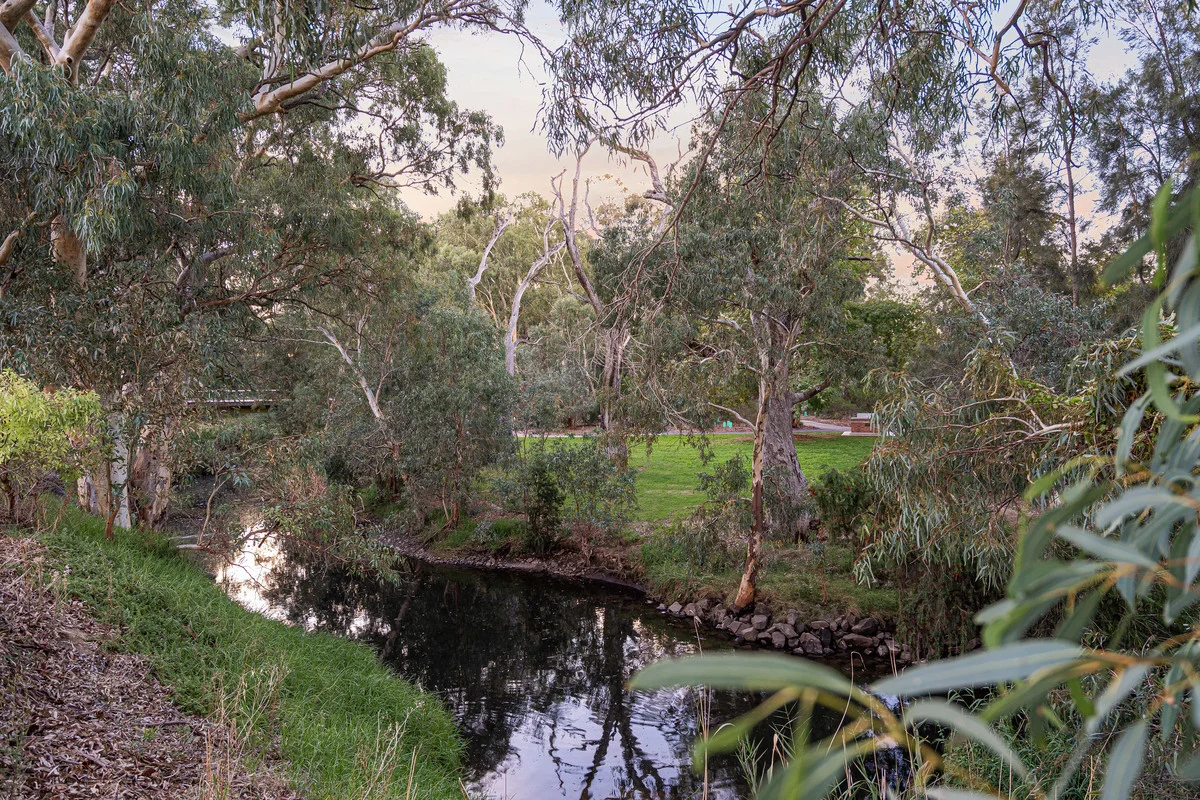 Image 20