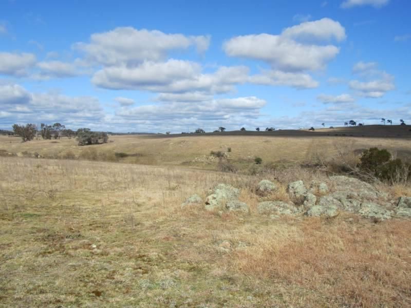 BRAYTON NSW 2579, Image 2