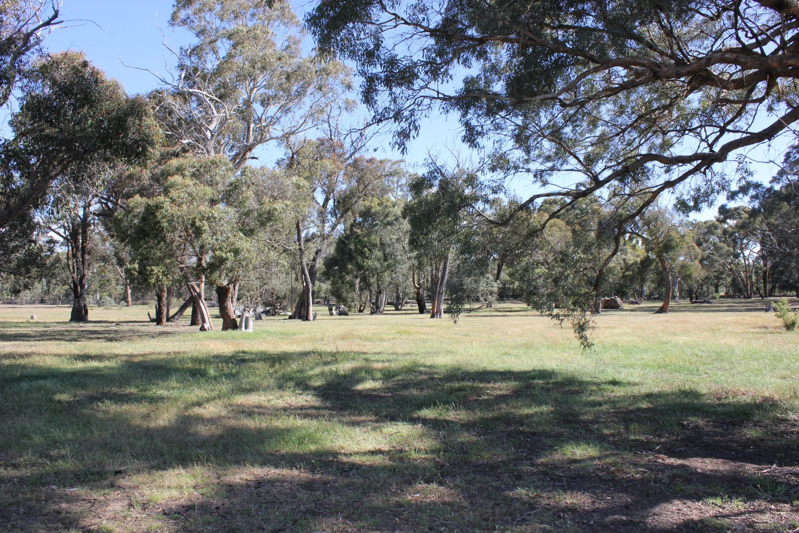 Image 9