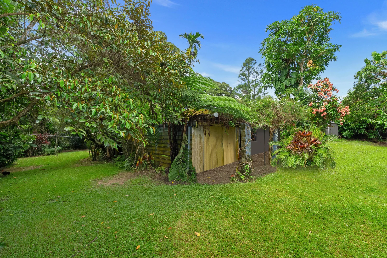 Additional image 15 of 12 Kullaroo Close, Kuranda QLD 4881