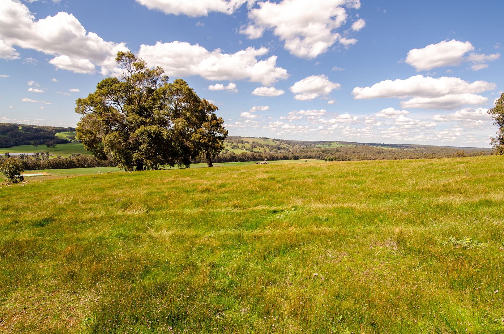 Lot 3612 DonnybrookBoyup Brook Road, Noggerup WA 6225 House for Sale