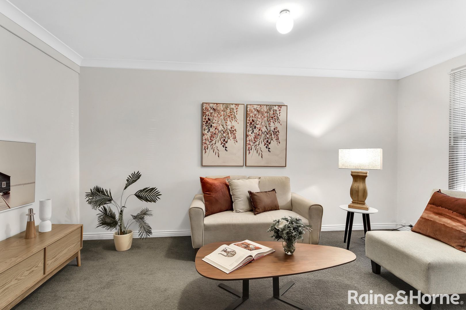 87 Ernest Street, Crows Nest NSW 2065, Image 1